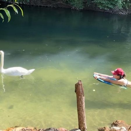 Gite De Vacances Jardin Monet Giverny Vernon Sainte-Genevieve-les-Gasny Εξωτερικό φωτογραφία