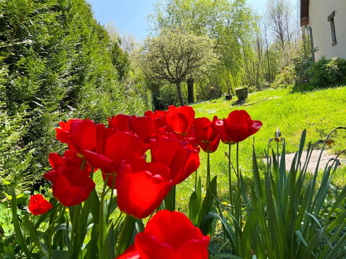 Gite De Vacances Jardin Monet Giverny Vernon Sainte-Genevieve-les-Gasny Εξωτερικό φωτογραφία